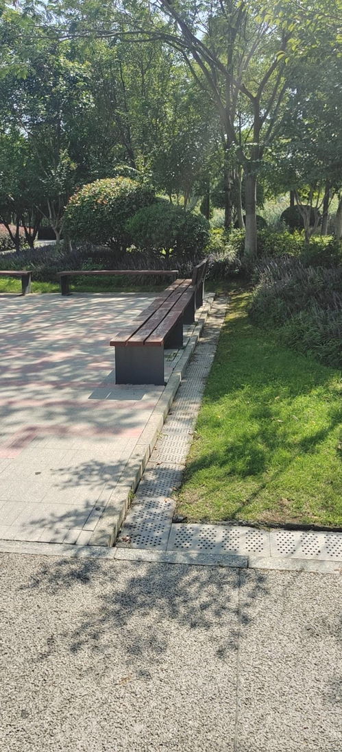 海綿技術與城市園林綠化有機耦合 推動城市建設高質量