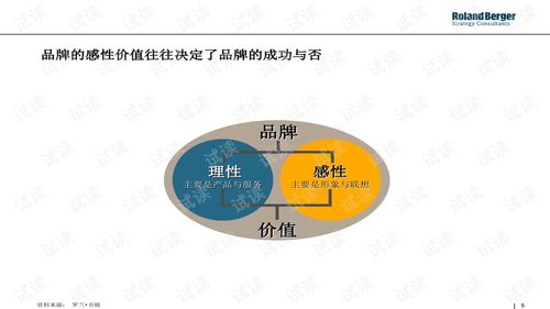 羅蘭貝格戰(zhàn)略性品牌管理工具Profiler 構(gòu)建品牌競(jìng)爭(zhēng)優(yōu)勢(shì)的系統(tǒng)化指南